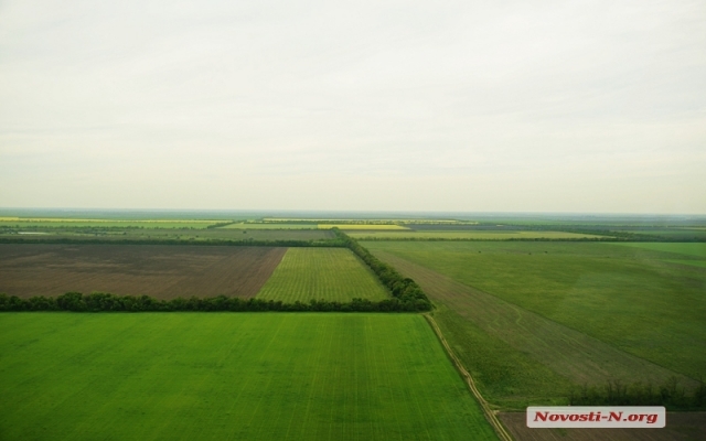 На Николаевщине началась уборочная кампания Фото № 0 На Николаевщине началась уборочная кампания Фото № 0