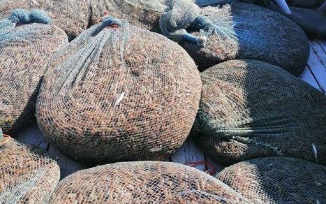 Около 170 тысяч креветок, выловленных в заповедной зоне – на Николаевщине поймали браконьеров Фото № 1 Около 170 тысяч креветок, выловленных в заповедной зоне – на Николаевщине поймали браконьеров Фото № 1