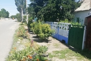 Из-за неправильной укладки асфальта жителей улицы в Варваровке может затопить после ливня Фото № 0 Из-за неправильной укладки асфальта жителей улицы в Варваровке может затопить после ливня Фото № 0