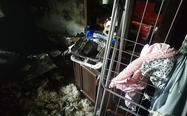 В Николаеве горела квартира в пятиэтажке – из огня спасли собаку Фото № 1 В Николаеве горела квартира в пятиэтажке – из огня спасли собаку Фото № 1