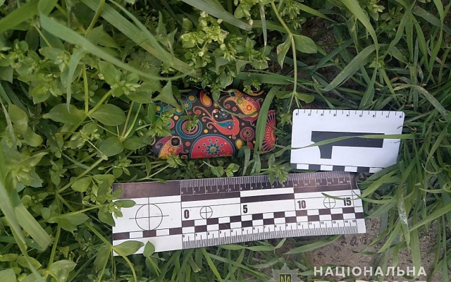 В Новой Одессе задержали мужчину, подозреваемого в ограблении фармацевта аптеки Фото № 0 В Новой Одессе задержали мужчину, подозреваемого в ограблении фармацевта аптеки Фото № 0