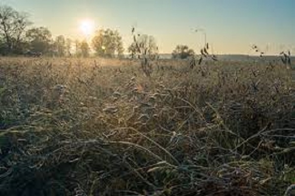На выходные николаевцам обещают теплую погоду без осадков Фото № 0 На выходные николаевцам обещают теплую погоду без осадков Фото № 0