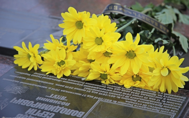 Жители Николаева почтили память павших десантников Фото № 32 Жители Николаева почтили память павших десантников Фото № 32