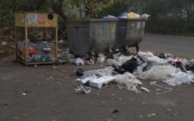 На Чайковского пожаловались на мусор, который не вывезли коммунальные службы Фото № 1 На Чайковского пожаловались на мусор, который не вывезли коммунальные службы Фото № 1