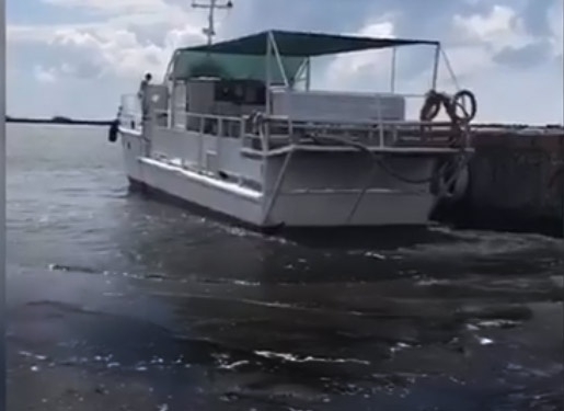 На центральном пляже Очакова сегодня купаться невозможно: воду покрывает маслянистая пленка Фото № 1 На центральном пляже Очакова сегодня купаться невозможно: воду покрывает маслянистая пленка Фото № 1