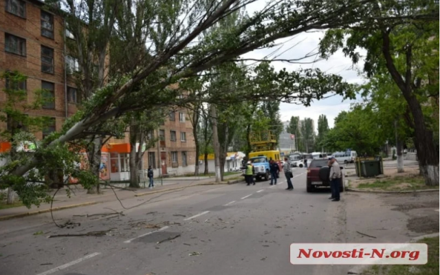 По одной из улиц Николаева перекрыто движение – упал тополь Фото № 1 По одной из улиц Николаева перекрыто движение – упал тополь Фото № 1