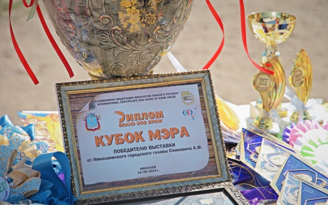 В Николаеве прошла международная выставка собак Фото № 0 В Николаеве прошла международная выставка собак Фото № 0