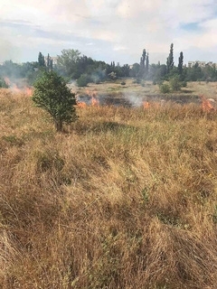 Из-за поджога и неосторожного обращения с огнем в Очакове и Николаеве произошли пожары на открытых территориях Фото № 0 Из-за поджога и неосторожного обращения с огнем в Очакове и Николаеве произошли пожары на открытых территориях Фото № 0