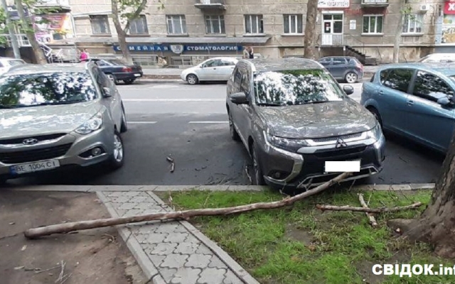 В Николаеве упавшая ветка «помяла» иномарку, владелец авто намерен обращаться в суд Фото № 0 В Николаеве упавшая ветка «помяла» иномарку, владелец авто намерен обращаться в суд Фото № 0