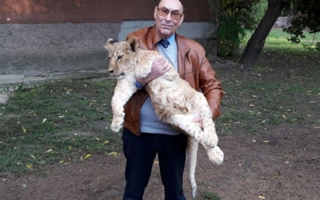 В Николаевском зоопарке не знают, куда девать новорожденных львят и тигрят Фото № 0 В Николаевском зоопарке не знают, куда девать новорожденных львят и тигрят Фото № 0