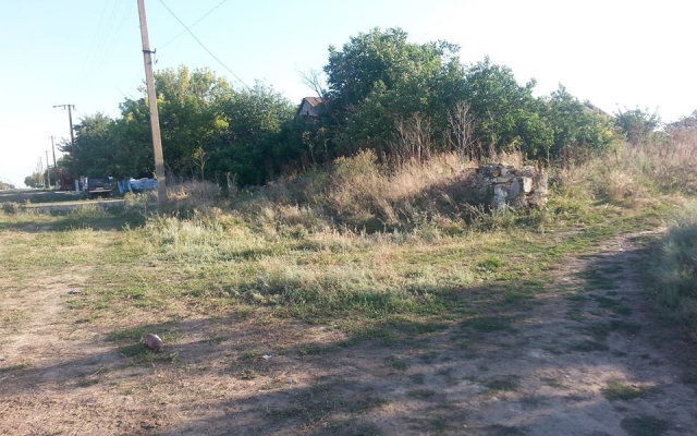 Село в Николаевской области заросло бурьяном так, что домов не видно Фото № 0 Село в Николаевской области заросло бурьяном так, что домов не видно Фото № 0