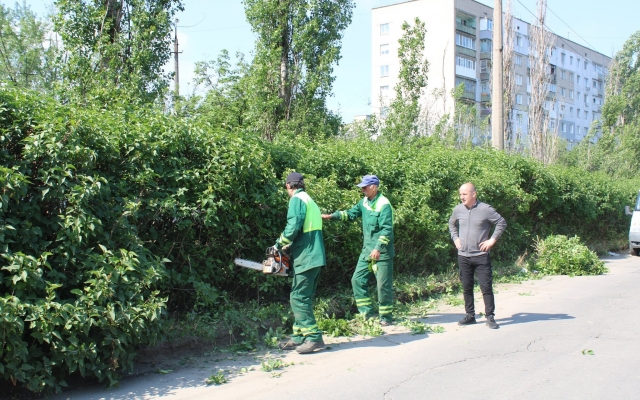В Николаеве обрезали кусты, создающие опасность аварийных ситуаций Фото № 0 В Николаеве обрезали кусты, создающие опасность аварийных ситуаций Фото № 0
