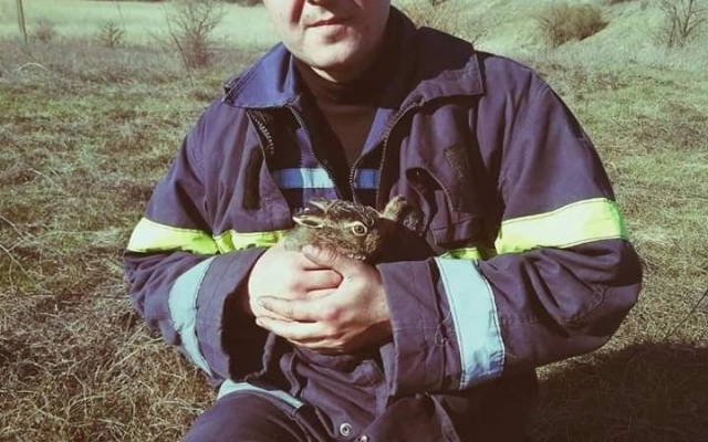 На Николаевщине из огня спасли зайчонка Фото № 0 На Николаевщине из огня спасли зайчонка Фото № 0