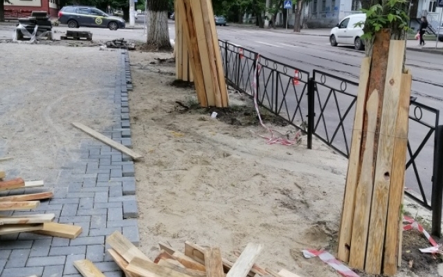 Подрядчик на улице Потемкинской позаботился, чтобы при работах не повредились деревья Фото № 0 Подрядчик на улице Потемкинской позаботился, чтобы при работах не повредились деревья Фото № 0