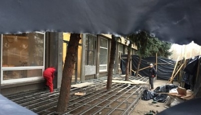 В Николаеве проверят, насколько законно предпринимателю разрешили обрезать ветви елей Фото № 0 В Николаеве проверят, насколько законно предпринимателю разрешили обрезать ветви елей Фото № 0