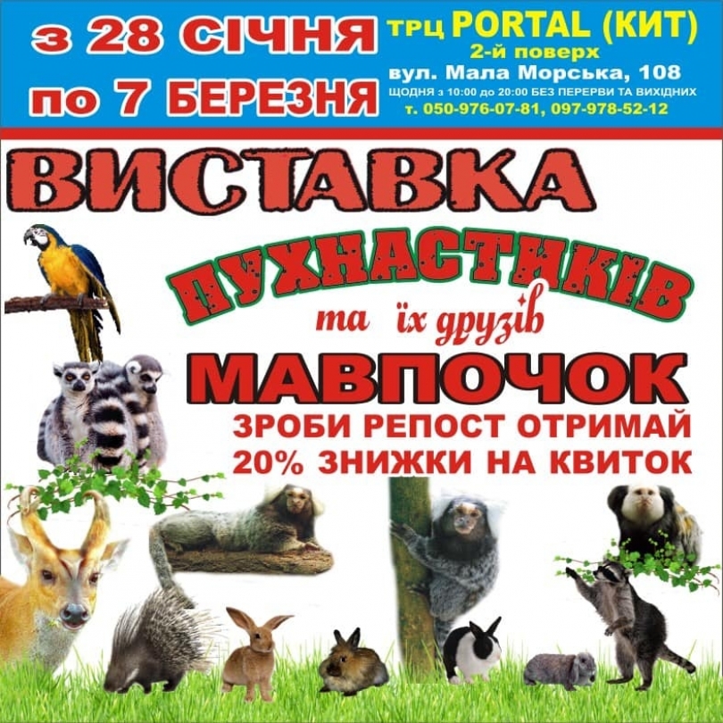 В Николаеве пройдет выставка обезьян и попугаев Фото № 0 В Николаеве пройдет выставка обезьян и попугаев Фото № 0