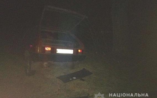 На трассе «Новониколаевка-Ковалевка» автомобиль слетел в кювет и врезался в дерево, водитель погиб на месте Фото № 1 На трассе «Новониколаевка-Ковалевка» автомобиль слетел в кювет и врезался в дерево, водитель погиб на месте Фото № 1
