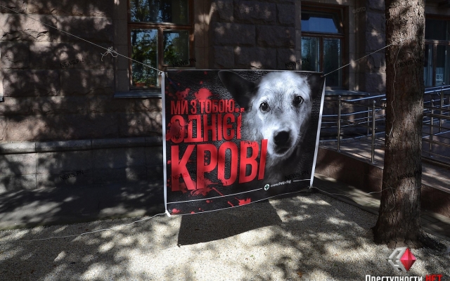 Неизвестные напали на палаточный городок зоозащитников возле Николаевского горсовета Фото № 2 Неизвестные напали на палаточный городок зоозащитников возле Николаевского горсовета Фото № 2