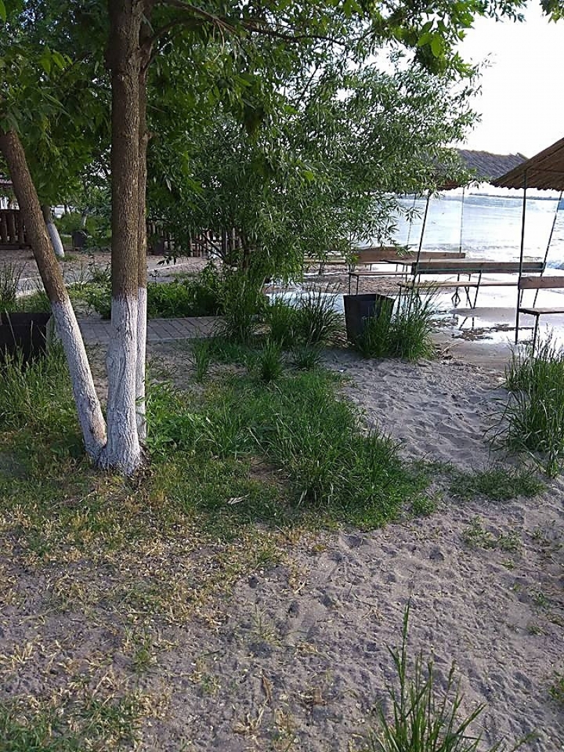 Работы по берегоукреплению Намыва начнут со следующего года - Сенкевич Фото № 2 Работы по берегоукреплению Намыва начнут со следующего года - Сенкевич Фото № 2