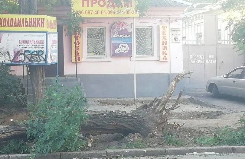 Автомобили николаевцев придавило упавшее дерево Фото № 0 Автомобили николаевцев придавило упавшее дерево Фото № 0