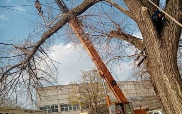 Подъемный кран перевернулся в Николаеве из-за беспечного поведения рабочих Фото № 4 Подъемный кран перевернулся в Николаеве из-за беспечного поведения рабочих Фото № 4