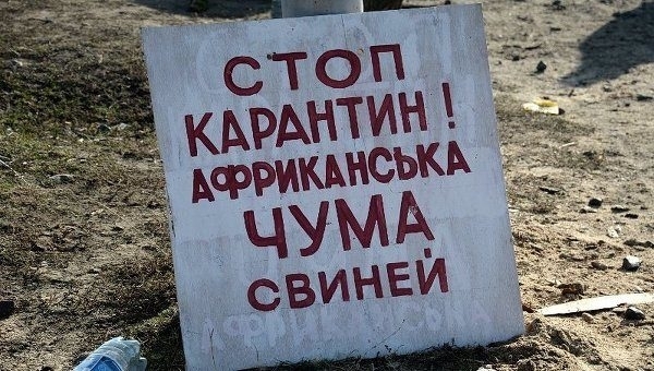 В Доманевской районе зафиксировали вспышку африканской чумы свиней Фото № 0 В Доманевской районе зафиксировали вспышку африканской чумы свиней Фото № 0
