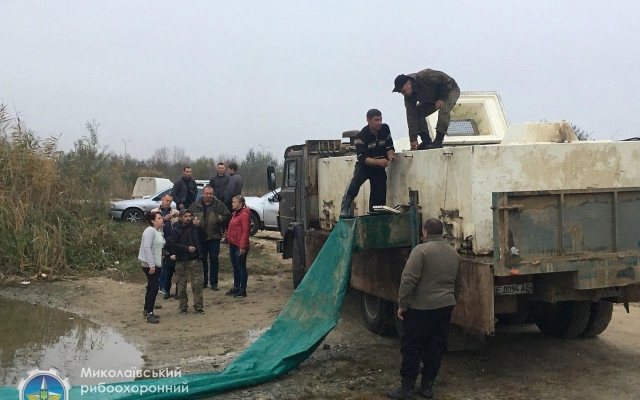 В Южный Буг выпущено более 18 тонн рыбы Фото № 7 В Южный Буг выпущено более 18 тонн рыбы Фото № 7