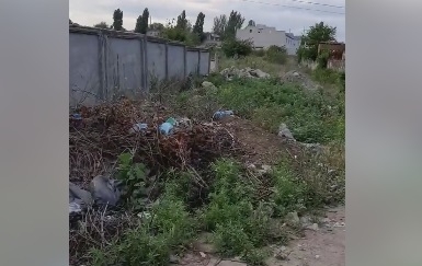 Николаевцы возмущены стихийной свалкой на улице Строителей (видео) Фото № 0 Николаевцы возмущены стихийной свалкой на улице Строителей (видео) Фото № 0