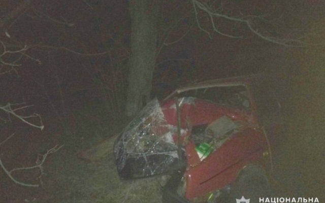 На трассе «Новониколаевка-Ковалевка» автомобиль слетел в кювет и врезался в дерево, водитель погиб на месте Фото № 2 На трассе «Новониколаевка-Ковалевка» автомобиль слетел в кювет и врезался в дерево, водитель погиб на месте Фото № 2