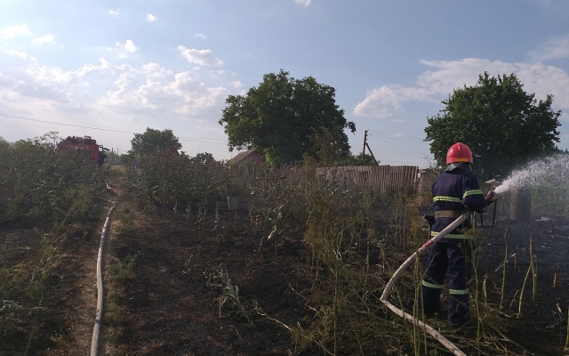 В Николаеве и области за сутки выгорело 36 гектар сухостоя и травы Фото № 2 В Николаеве и области за сутки выгорело 36 гектар сухостоя и травы Фото № 2