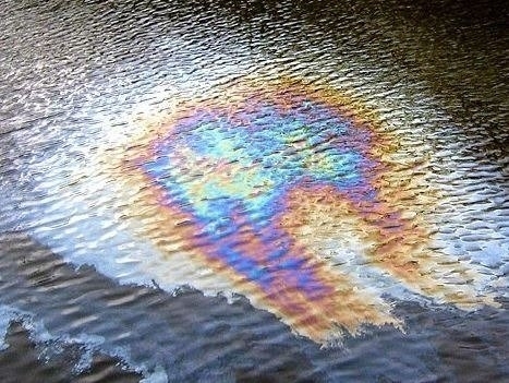В Николаеве неизвестные сливают в реку нефтепродукты Фото № 0 В Николаеве неизвестные сливают в реку нефтепродукты Фото № 0