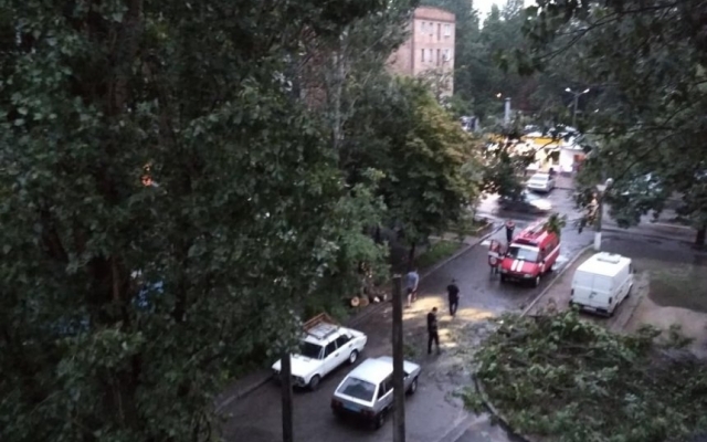 На Курортной на автомобиль упало дерево Фото № 0 На Курортной на автомобиль упало дерево Фото № 0