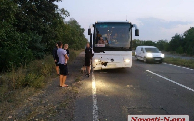 На трассе «Николаев-Ульяновка» рейсовый автобус врезался в патрульный автомобиль Фото № 11 На трассе «Николаев-Ульяновка» рейсовый автобус врезался в патрульный автомобиль Фото № 11