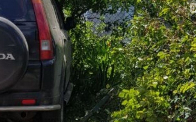 В Варваровке от удара иномарка съехала с дороги и врезалась в ограждение Фото № 4 В Варваровке от удара иномарка съехала с дороги и врезалась в ограждение Фото № 4