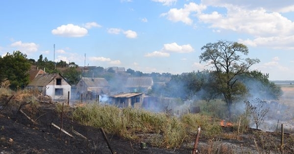 Пожар в Большой Коренихе горело более 2 гектар территории Фото № 0 Пожар в Большой Коренихе горело более 2 гектар территории Фото № 0