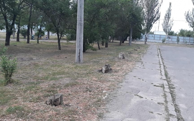 Николаевский сквер превращают в свалку и притон Фото № 1 Николаевский сквер превращают в свалку и притон Фото № 1