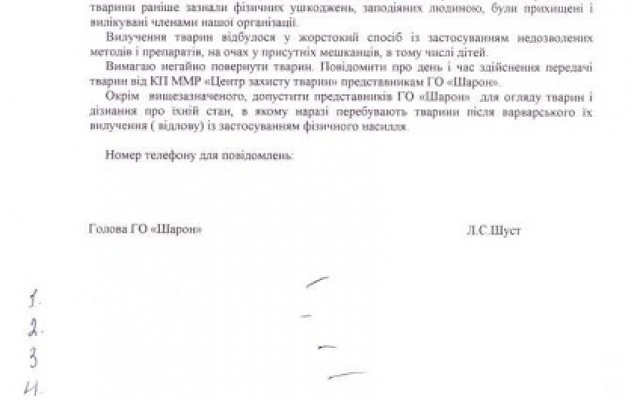 Николаевская зоозащитница Лидия Шуст требует вернуть собак, отобранных городскими властями из ее приюта Фото № 0 Николаевская зоозащитница Лидия Шуст требует вернуть собак, отобранных городскими властями из ее приюта Фото № 0