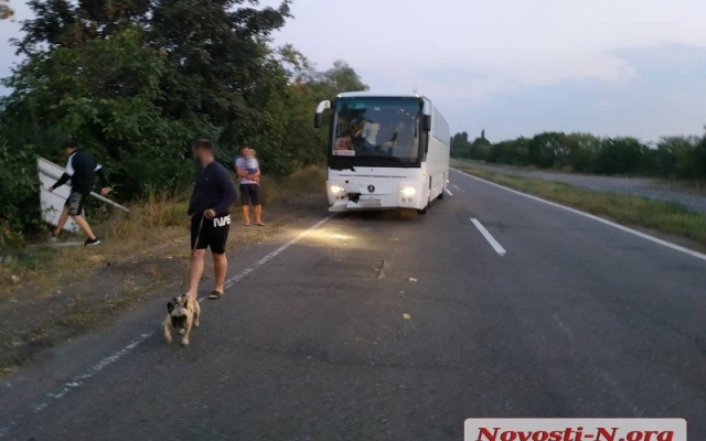 На трассе «Николаев-Ульяновка» рейсовый автобус врезался в патрульный автомобиль Фото № 2 На трассе «Николаев-Ульяновка» рейсовый автобус врезался в патрульный автомобиль Фото № 2