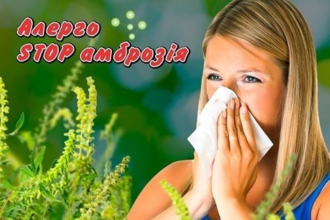 Департамент ЖКХ объявляет всеобщую мобилизацию против амброзии Фото № 0 Департамент ЖКХ объявляет всеобщую мобилизацию против амброзии Фото № 0