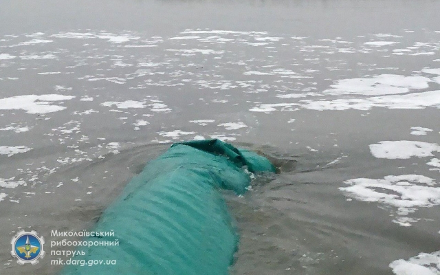 В Южный Буг выпущено более 18 тонн рыбы Фото № 1 В Южный Буг выпущено более 18 тонн рыбы Фото № 1