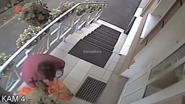 В Николаеве пожилая дама забрала понравившиеся вазоны с цветами, украшавшие вход в салон красоты Фото № 0 В Николаеве пожилая дама забрала понравившиеся вазоны с цветами, украшавшие вход в салон красоты Фото № 0