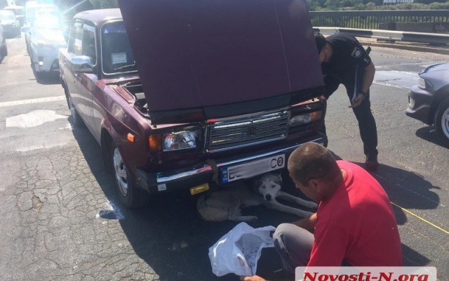 Ямы стали причиной аварии на Ингульском мосту, образовалась автомобильная пробка пробка Фото № 4 Ямы стали причиной аварии на Ингульском мосту, образовалась автомобильная пробка пробка Фото № 4