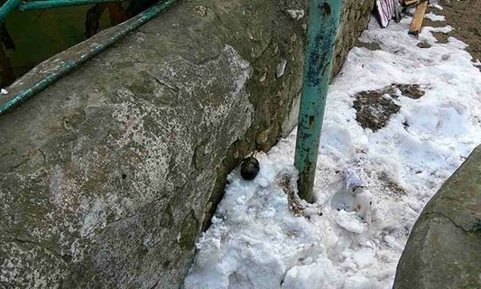 На Николаевщине бросили гранату в частный двор