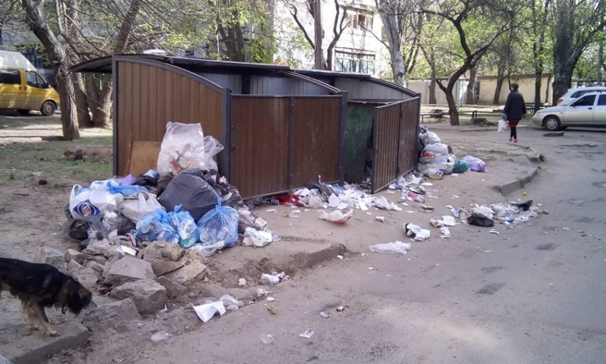 Жительница Николаева пожаловалась на свалку мусора прямо у ее дома