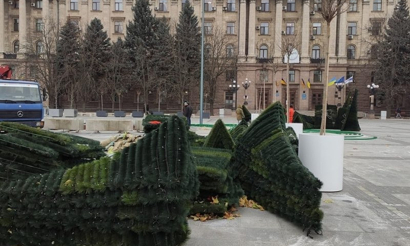 Сегодня в Николаеве устанавливают зеленую красавицу 