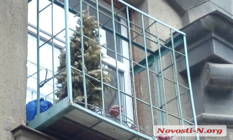 В середине апреля николаевцы так и не выбросили новогоднюю ёлку
