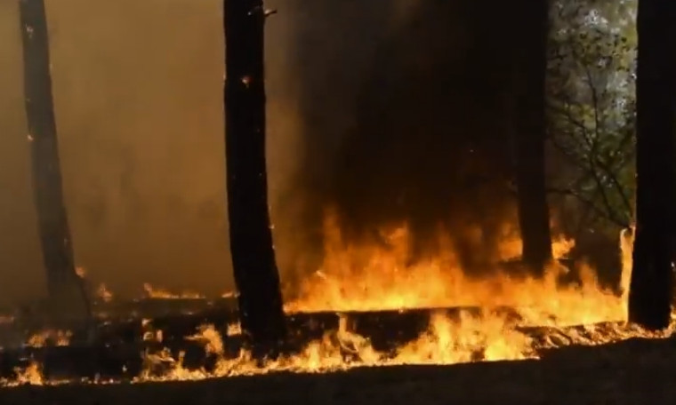 Из-за поджогов в Николаевской области не утихают пожары в природных экосистемах