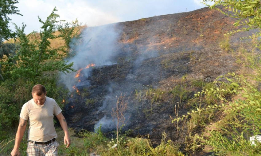 В  Николаеве сожгли деревья высаженные волонтерами на пляже в Аляудах