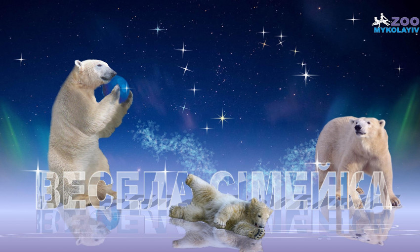 Новогодние веселые забавы медвежонка Сметанки в Николаевском зоопарке