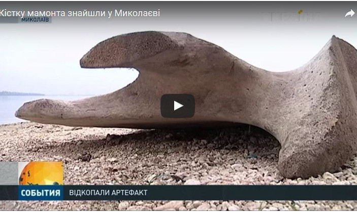 Древняя кость мамонта была обнаружена в Николаеве